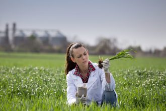 Woman examining a plant in a field