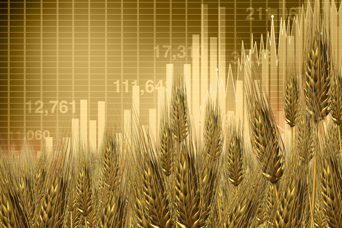 Grain on charts