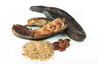 Carob pods on white background